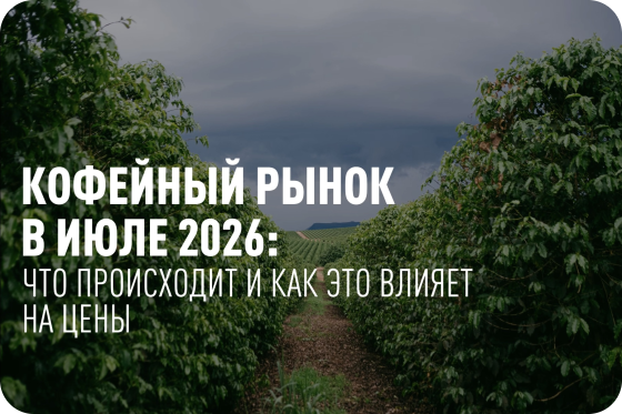 ОБСТАНОВКА НА КОФЕЙНОМ РЫНКЕ В ИЮЛЕ 2026
