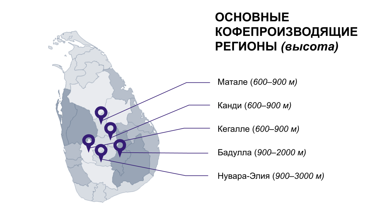 Карта производства кофе на Шри-Ланке