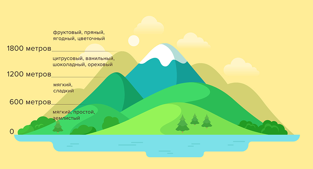 height for coffee cultivation